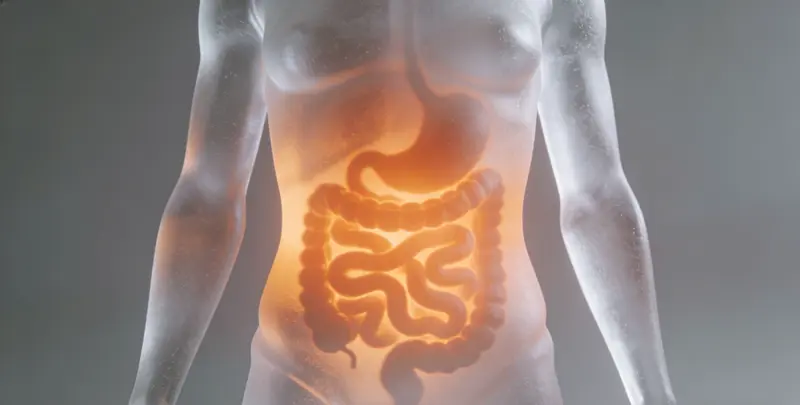 洛阳肠癌甲基化检测图片1